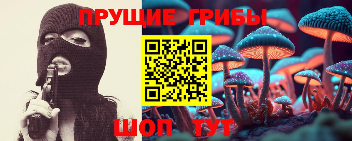 Псилоцибиновые грибы ЛСД Гулькевичи