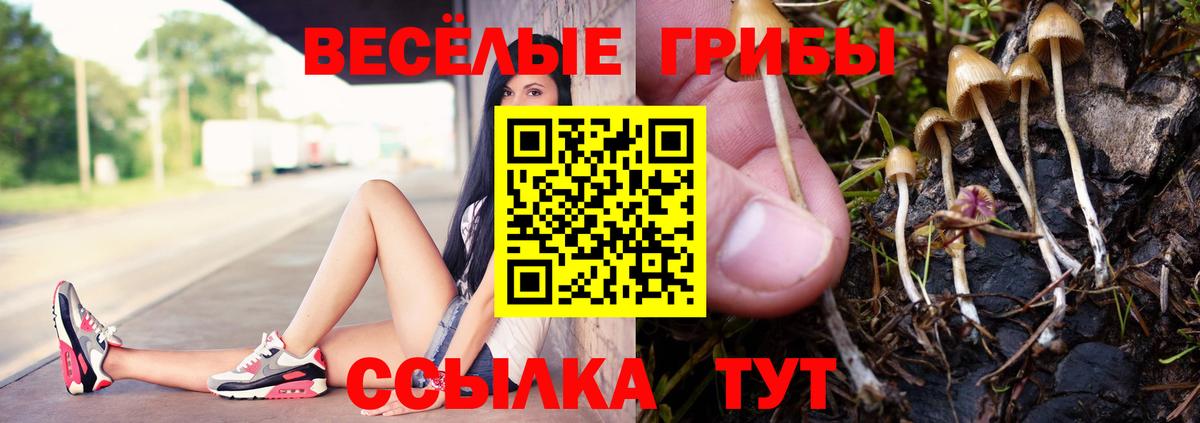 Гулькевичи  Псилоцибиновые грибы MAGIC MUSHROOMS  Вход с VPN 
